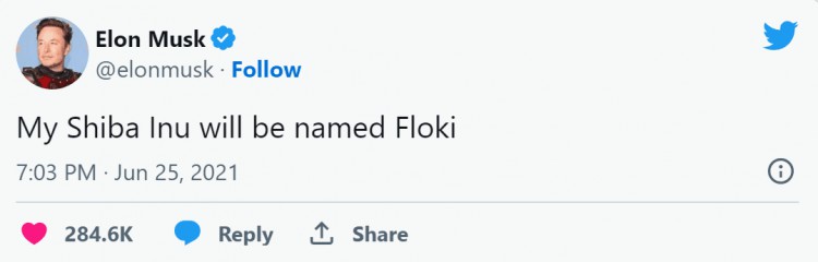 “以马斯克的新宠物命名”FLOKI "，到底是什么来了？一篇文章探讨了FLOKI的传奇之路和价值！我