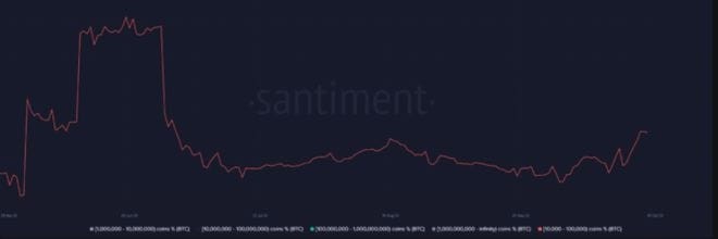 比特币鲸鱼在那里 7 天内积累了 6 一亿美元的比特币-正在酝酿什么？