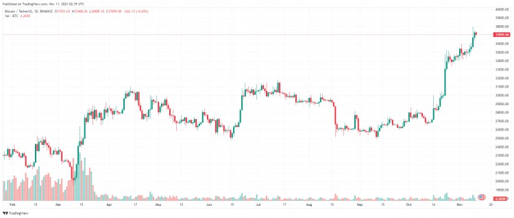 十一月十一日：比特币继续保持价格在37000美元以上，山寨币强劲反弹