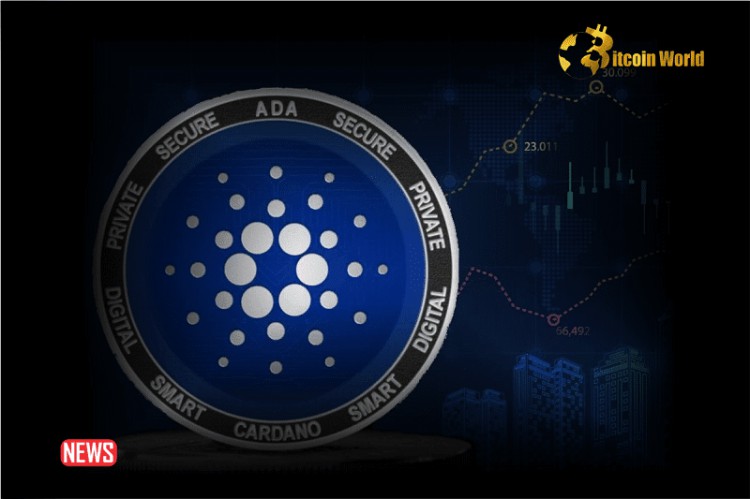 Cardano (ADA): Will the Growing Adoption Drive an