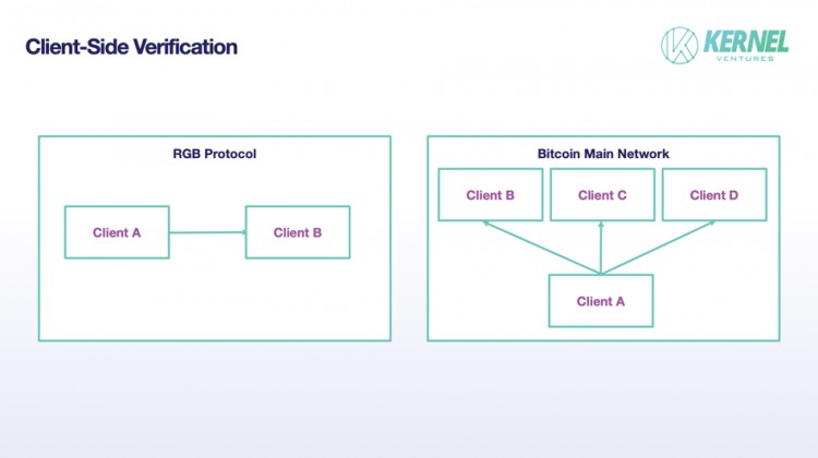 [HTX Research]Kernel Ventures：RGB 能否复刻 Ordinals 的热