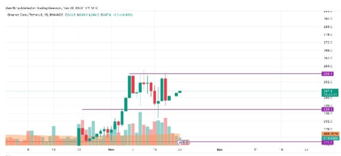 11 月 20 日 ADA 和 BNB 价格分析