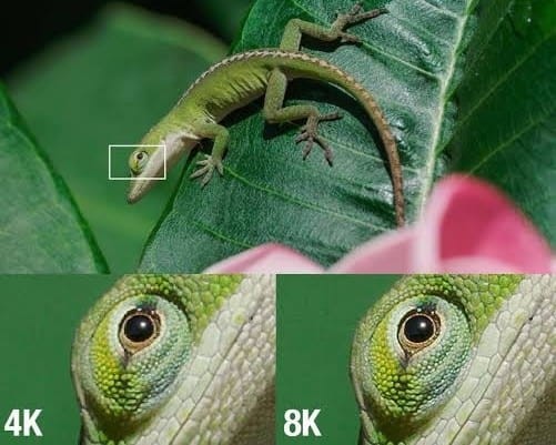 4K 和 8K 电视之间做出决定需要权衡各种因素