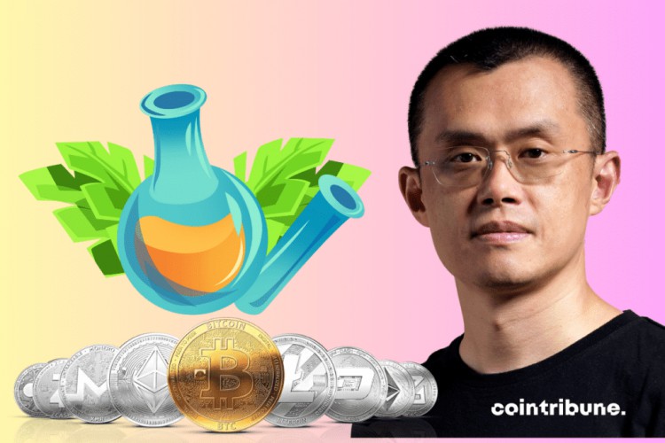 Crypto:CZ继币安之后的新项目!