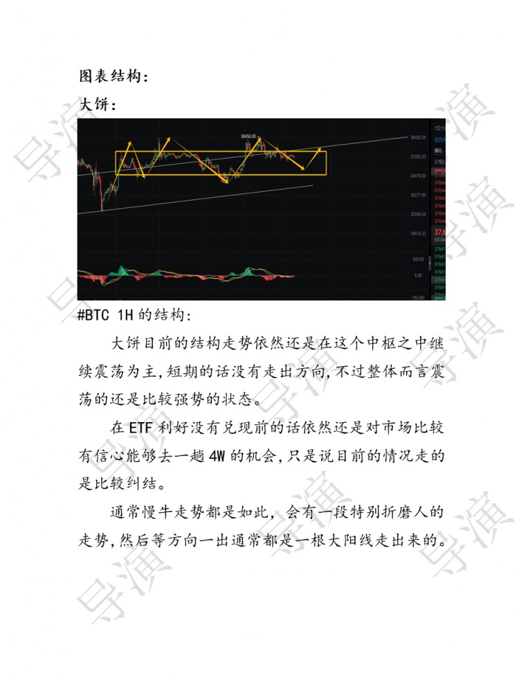 12.1日导演行情走势分析