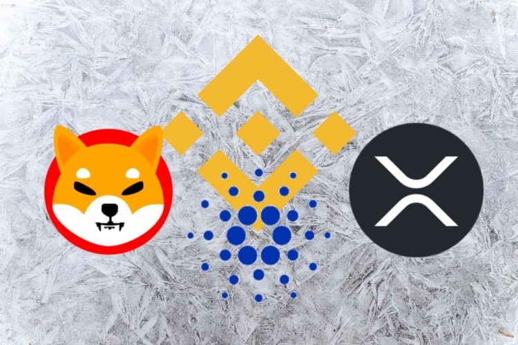 币安通告:SHIB、ADA、XRP 持有者应注意币安加密货币