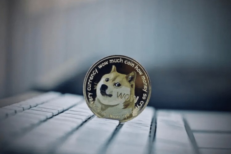 DOGE币价格$0