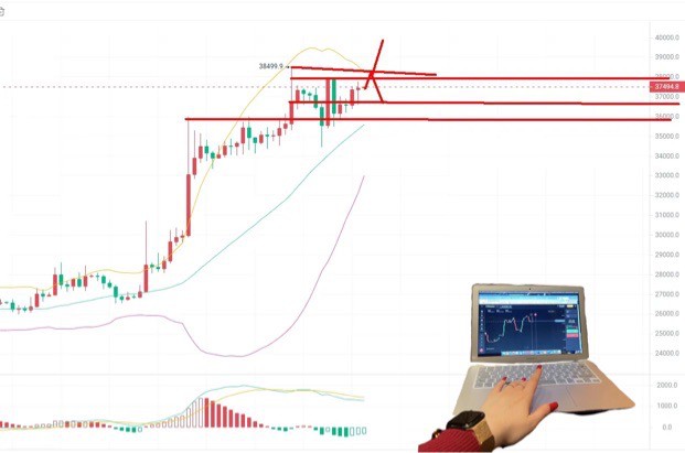 [哈希学院]比特币（BTC）走不完的过山车