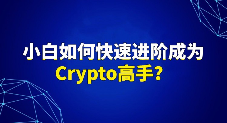 Crypto高手进阶攻略 一级项目筛选 二级市场抄底攻略 交易计划知识成就赚钱