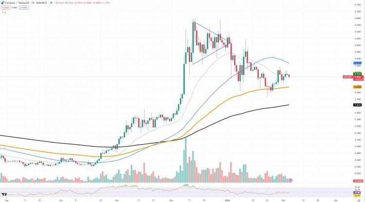 Cardano (ADA) 遭到残酷拒绝，DXY 扼杀加密货币市场的势头