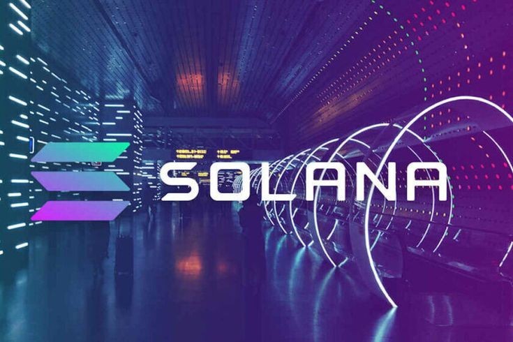 Solana 和 Ho 在哪里工作？民事初学者指南