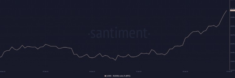 比特币鲸鱼在 10 天内挖走了 100,000 BTC – 现在怎么办？