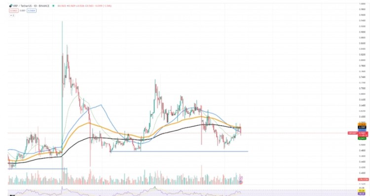 柴犬(SHIB)血洗：损失5%，比特币(BTC)损失51,000美元，XRP死亡交叉较小？市场脆弱挑