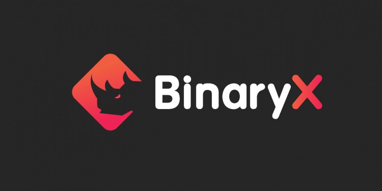 BinaryX 和 Binance 联合送出BinaryX IGO 白名单！赶快注册并参与抽奖！#B