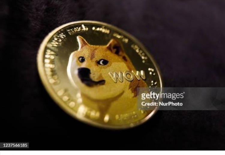 DOGE：从弱者变成数字革命 在快节奏的加密货币世界中