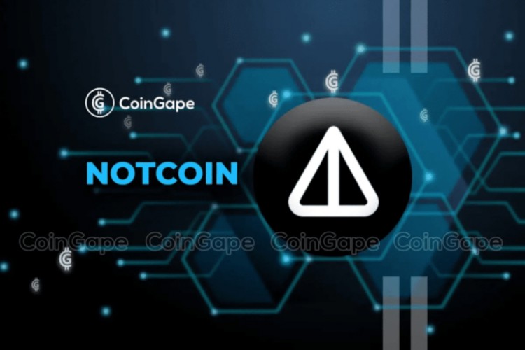 Notcoin价格飙升19%，BOME上涨13%