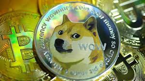 ## 狗狗币：从表情包到加密货币名声的意外旅程