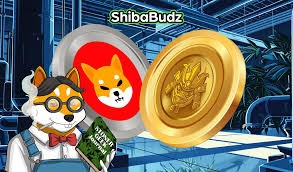 # SHIB Meme Coin：柴犬加密货币的崛起