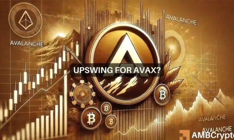 AVAX 能在 7 月跃升至 30 美元吗？交易者需求的上升表明可以！