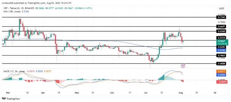 XRP价格跌破关键支撑位